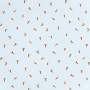 Punto de camiseta zanahorias